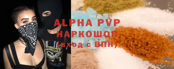 прущие грибы Абинск
