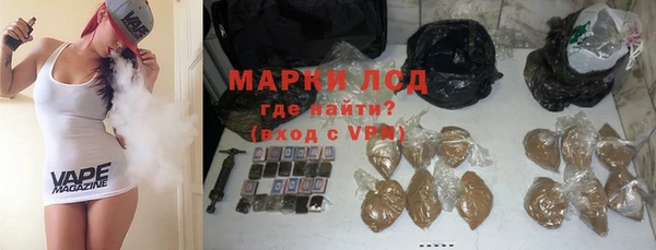 прущие грибы Абинск
