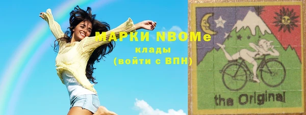 прущие грибы Абинск