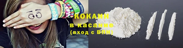 стаф Абаза