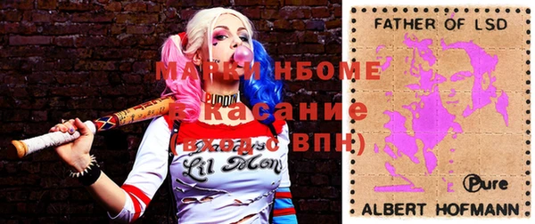 прущие грибы Абинск