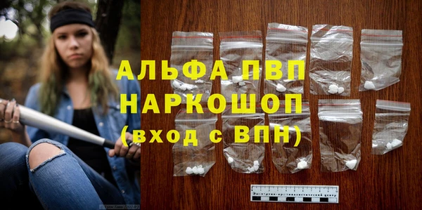 прущие грибы Абинск