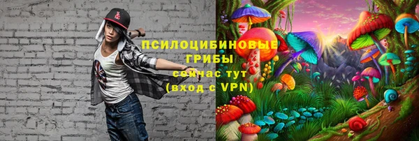 прущие крисы Абдулино