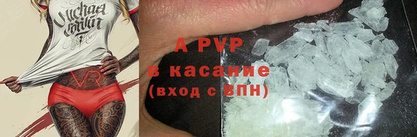 прущие грибы Абинск