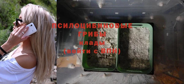 не бодяженный Няндома