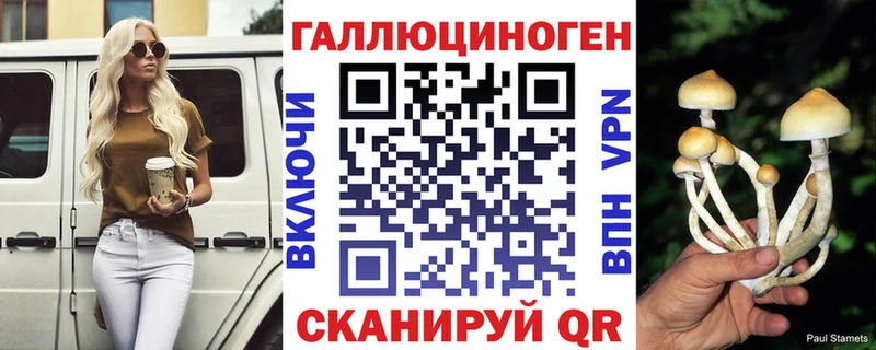 Галлюциногенные грибы Psilocybine cubensis Тюмень