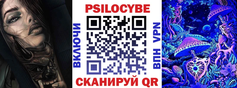 дарнет шоп  Тюмень  Псилоцибиновые грибы Psilocybine cubensis 